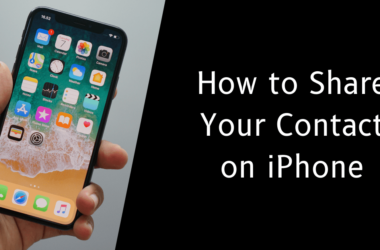 How to Share your Contact on iPhone Quickly? 1
