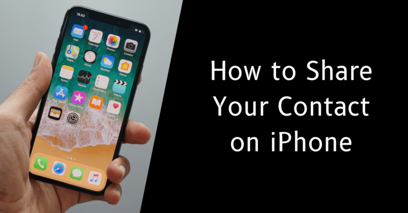 how to share your contact on iPhone