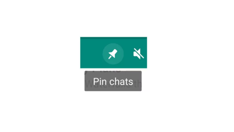 WhatsApp secret menu feature pin chats