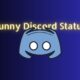 Funny Discord Status