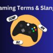 Gaming Terms & Slangs